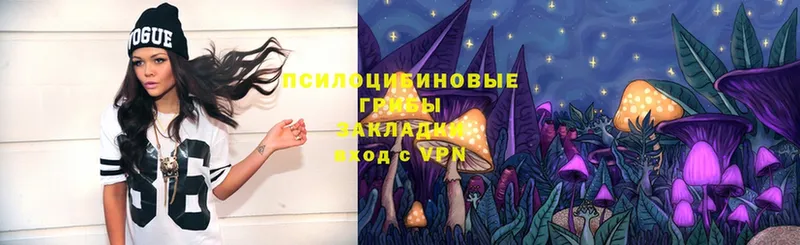 кракен вход  Щёкино  Галлюциногенные грибы Magic Shrooms 